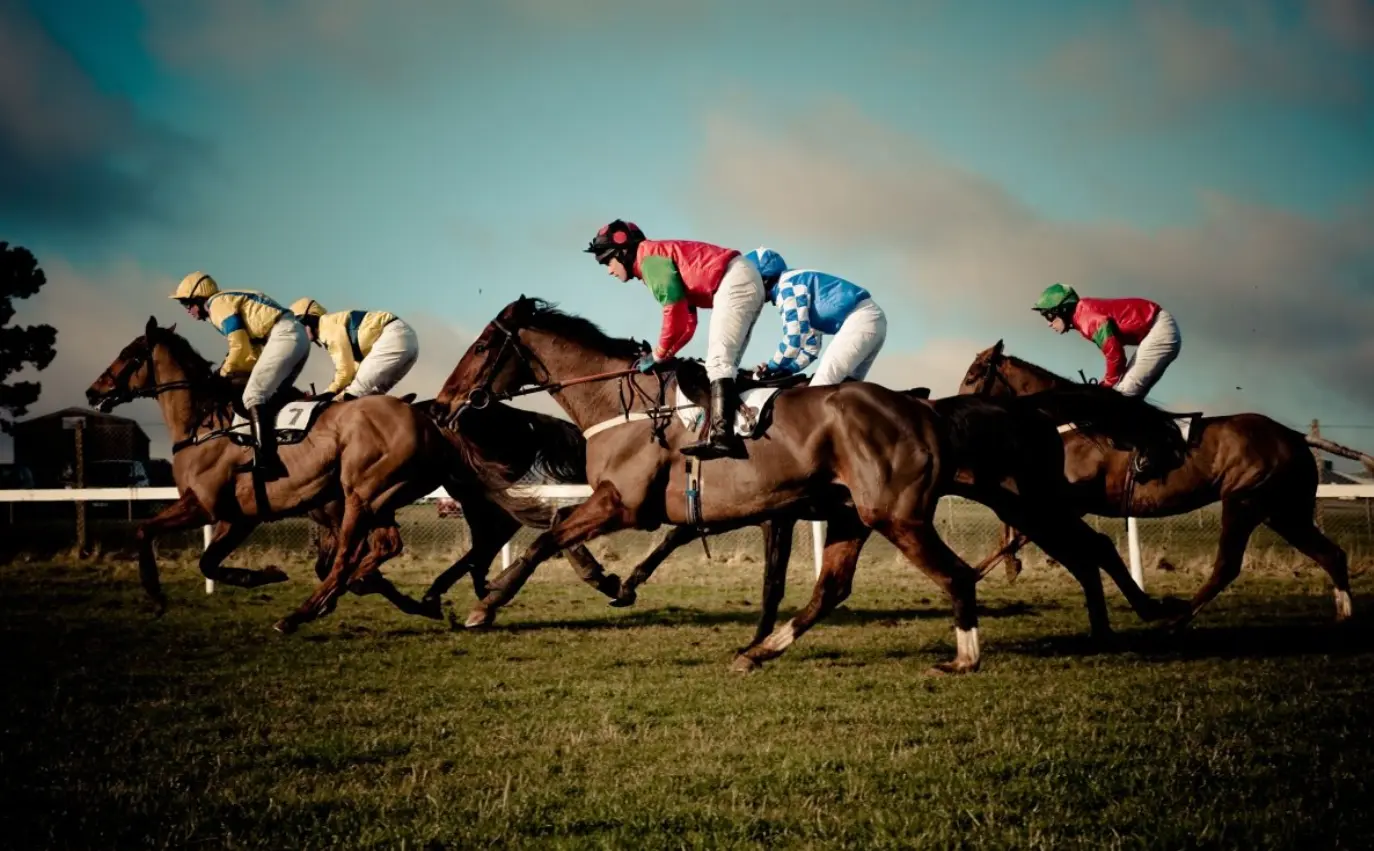 Horse racing in 1xBet Horse racing in 1xBet