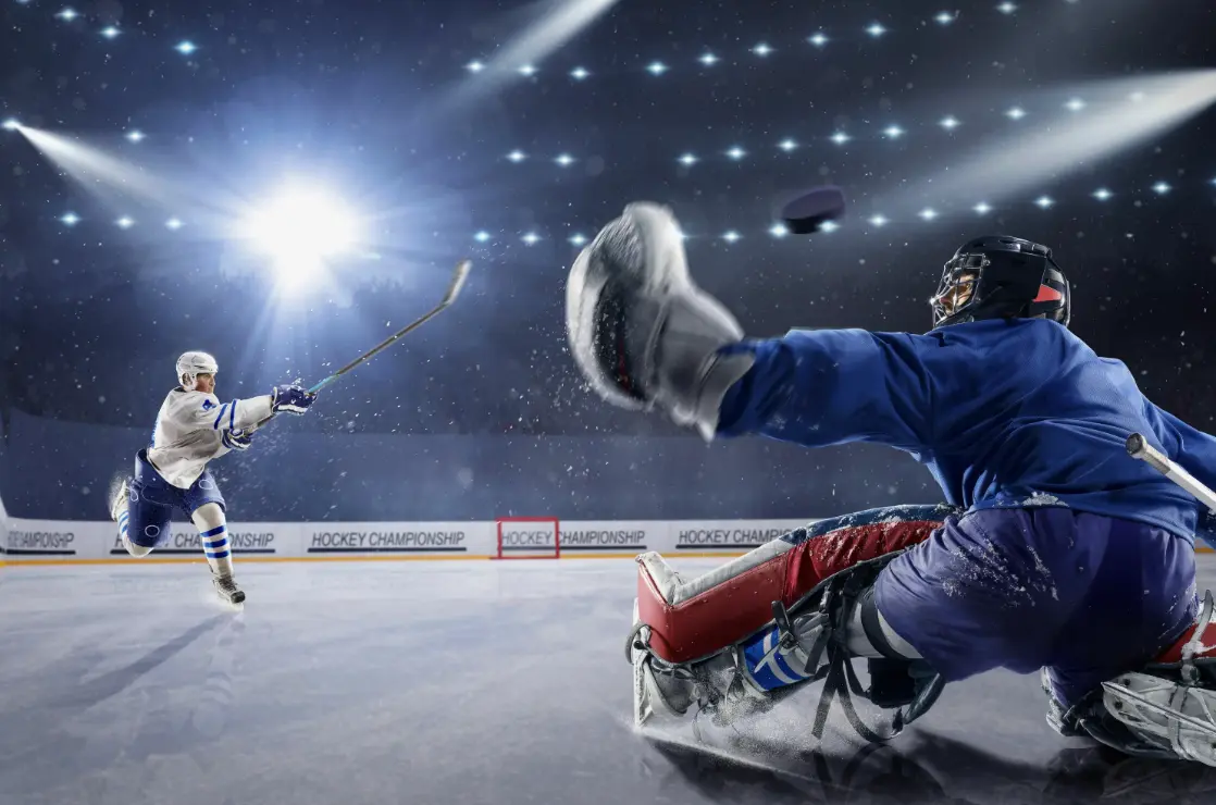 Interesting facts about hockey Interesting facts about hockey
