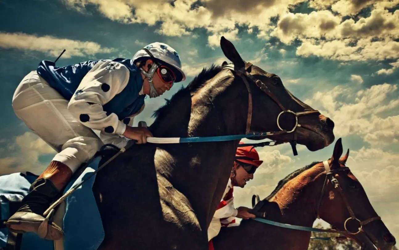 Interesting facts about horse racing Interesting facts about horse racing